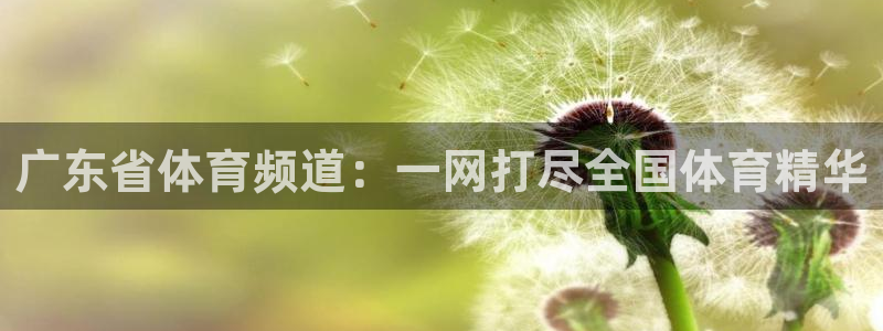 说球帝nba直播在线观看免费说球帝：广东省体育频道：一网打尽全国体育精华