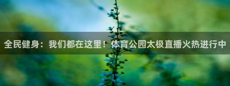 说球帝nba在线：全民健身：我们都在这里！体育公园太极直播火热进行中