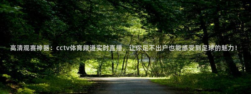 说球帝足球直播：高清观赛神器：cctv体育频道实时直播，让你足不出户也能感受到足球的魅力！