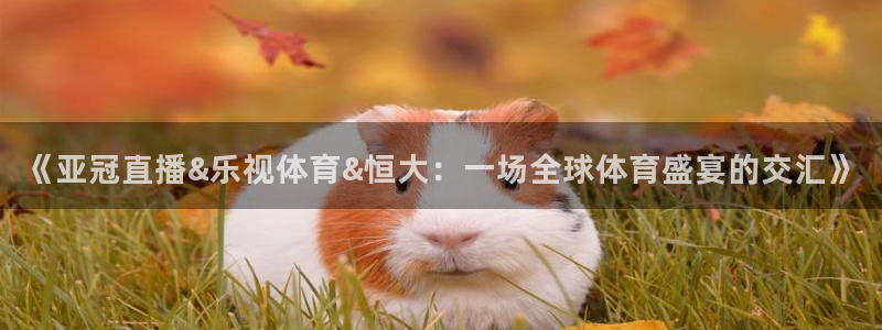 说球帝app手机版免费下载：《亚冠直播&乐视体育&恒大：一场全球体育盛宴的交汇》